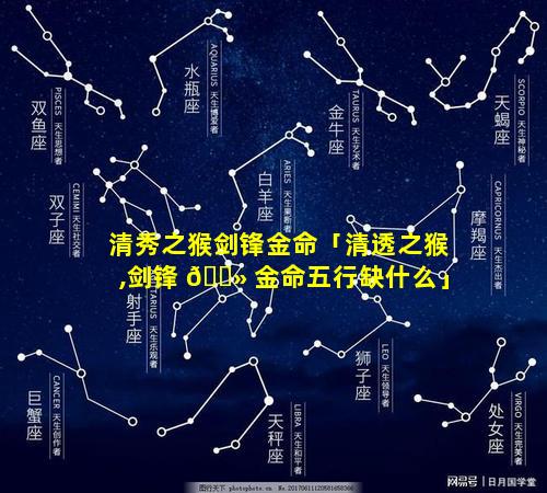清秀之猴剑锋金命「清透之猴,剑锋 🌻 金命五行缺什么」